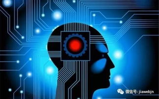 同質(zhì)化格局下，AI能否引爆智能手機(jī)行業(yè)創(chuàng)新？——人工智能應(yīng)用軟件開發(fā)的挑戰(zhàn)與機(jī)遇